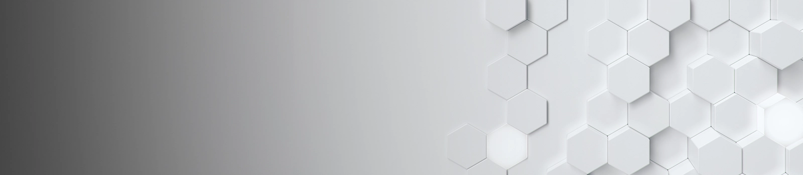 B-CORE 221