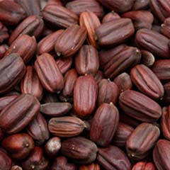 Perlas de jojoba biodegradables